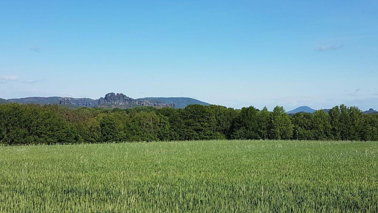 Pension Zaukeneck Bad Schandau Bagian luar foto