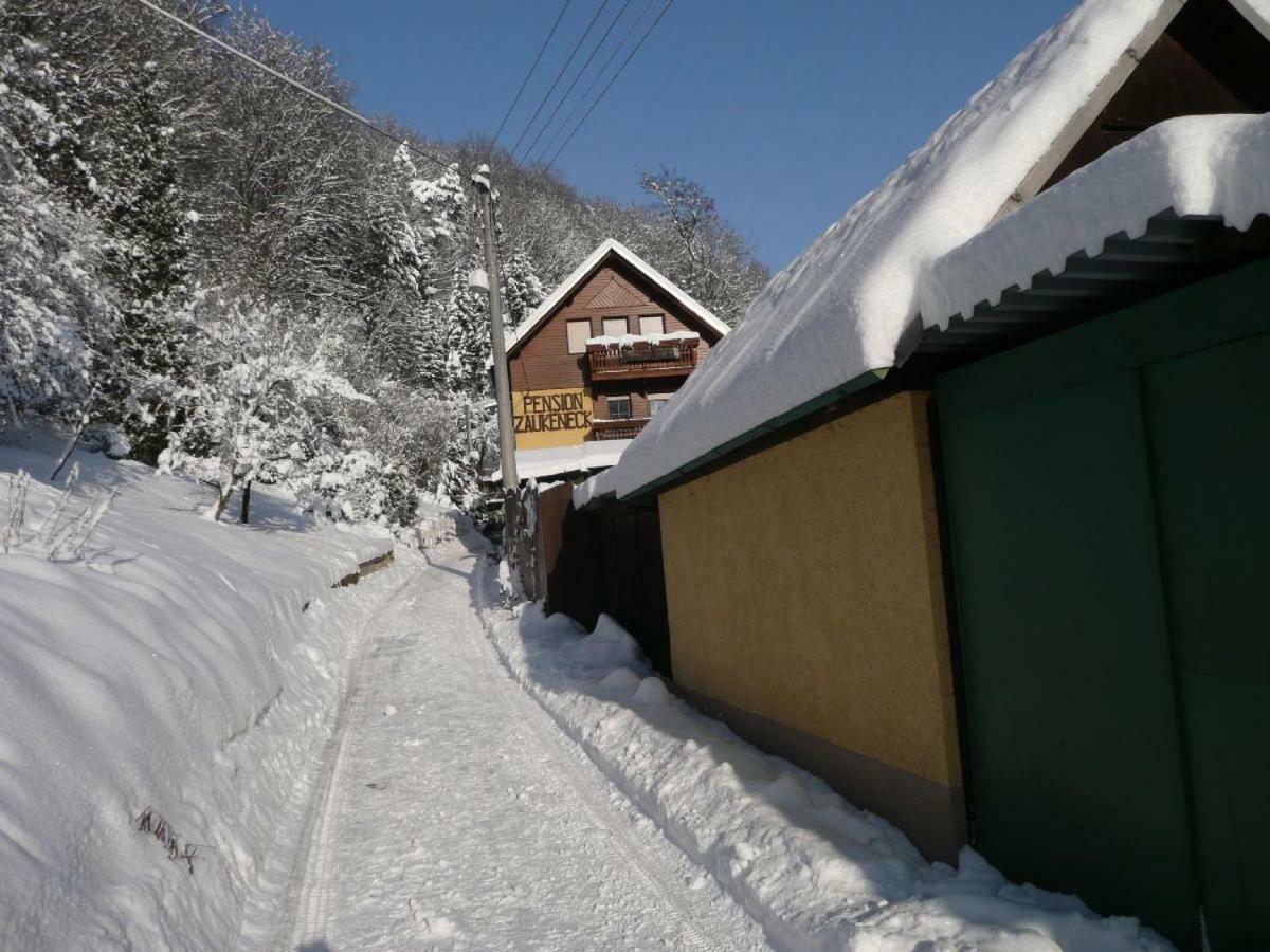 Pension Zaukeneck Bad Schandau Bagian luar foto